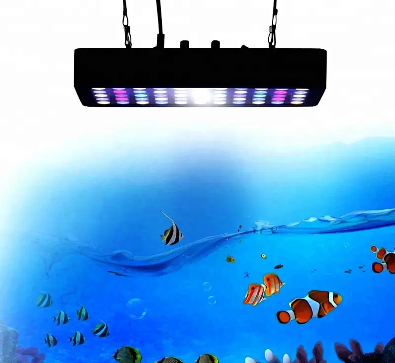 Chinese nieuwe aankomst dimmen LED aquarium verlichting voor vis en koraalrif