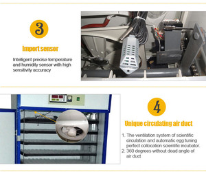 1056 Oeufs Couveuse, 1056 Trứng Couveuse Tự Động Au Senegal YZITE-10 - Product Image 3