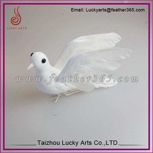 Gros blanc plumes de vol pigeon oiseau - Product Image 1