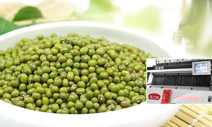 Graines de haricots <span class=keywords><strong>vert</strong></span> clair de haute qualité, 1 pièce, plante de <span class=keywords><strong>soja</strong></span> verte, haricots <span class=keywords><strong>mungo</strong></span>, pour la semis - Product Image 2
