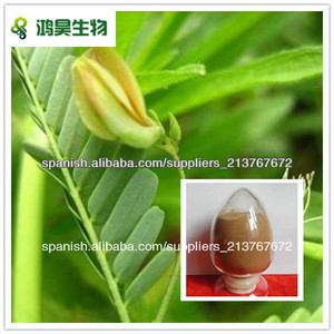 Cassia nomame Extract Flavanol 8% 16% - Product Image 1