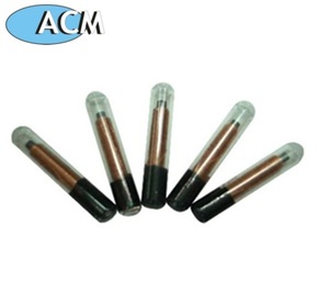 Menselijk Implanteerbaar 125Khz Kleinste Micro <span class=keywords><strong>Rfid</strong></span> Glas Iso15693 Glaslabel