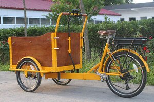 Last price Electric cargo three wheel bicycle charge - Product Image 6