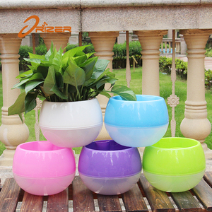 Nuevas ideas de productos muestra libre bola forma tamaño pequeño plantas suculentas maceta - Product Image 3