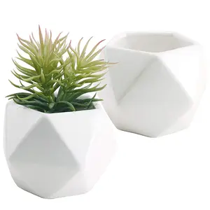 Set of 2 White Ceramic Geometric Design Mini Succulent Planter Flower Pots