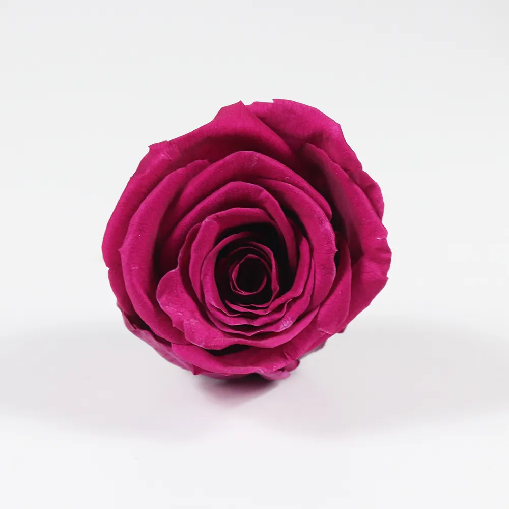 Tutte le occasioni rose testa conservato fresco fiore di rosa per la vendita