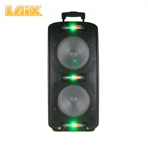 Laix DP-A10中国工厂双8 ”扬声器带Led闪光灯家用影院便携式扬声器系统音频扬声器带麦克风