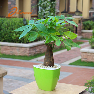 Venta caliente auto riego perezoso plantas suculentas <span class=keywords><strong>maceta</strong></span> de plástico - Product Image 3