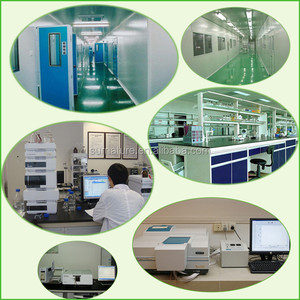 Extracto orgánico de Andrographis <span class=keywords><strong>Paniculata</strong></span>, HPLC 98% - Product Image 6