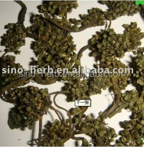 Té de hierbas de calidad de flor de <span class=keywords><strong>ginseng</strong></span> seco comestible orgánico de hierba <span class=keywords><strong>natural</strong></span> de muestra gratis - Product Image 4