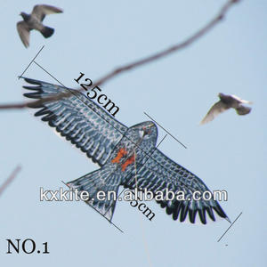 <span class=keywords><strong>Cerf</strong></span>-<span class=keywords><strong>volant</strong></span> traditionnel <span class=keywords><strong>chinois</strong></span> en forme d'aigle, grand oiseau <span class=keywords><strong>volant</strong></span>, livraison gratuite - Product Image 4