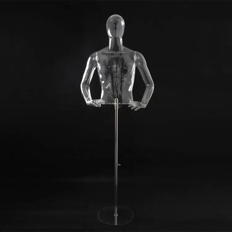 Transparant Mannelijk Torso Bovenlichaam Mannequin te koop