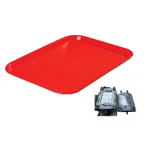 Hotel Restaurant Food Plastic Tray Mould