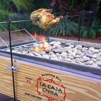 Kit de Asador Eléctrico a Batería con Motor Metálico Resistente, Sistema de Asador Portátil para Parrilla