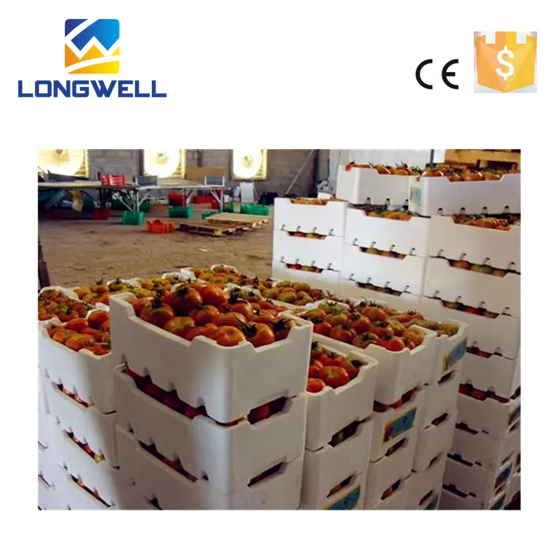 Top Quality EPS Fruit Foam Box Making Machine