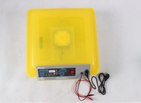 Incubateur d'œufs solaire automatique 12&220V EW-112 pour 112 œufs de poule, couveuse et éclosoir combinés, à vendre en Tanzanie, durée de vie 5-6 ans