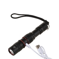 Torche puissante à longue portée en alliage d'aluminium de haute qualité personnalisée en usine lampe torche tactique rechargeable