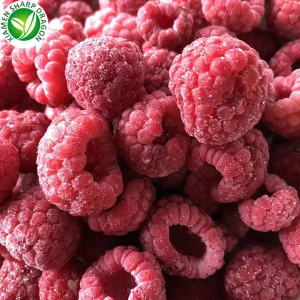 IQF Best Delish Frozen Fresh Black Red Seedless Raspberry Sweetened Freezing Fruits Per KG Bulk Wholesale Prices