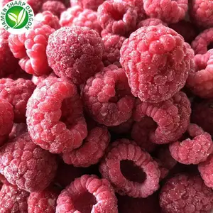 IQF terbaik pengiriman beku segar hitam merah tanpa biji Raspberry manis buah beku Per KG harga grosir