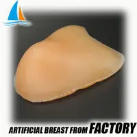 Prosese de mama externa artificial de silicone