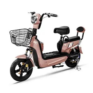 Trade Star Exports Adult Electric Bicycles Wholesale From China