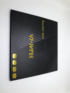 Nueva Singapur starhub <span class=keywords><strong>tv</strong></span> box V9 super viene con regalo 2 xUSB Puerto grabación auto actualización canales en línea - Product Image 4