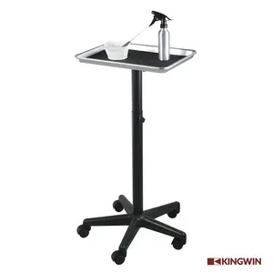 Kingwin Aluminium Haar Kleur Mobiele Salon Service Lade Trolley