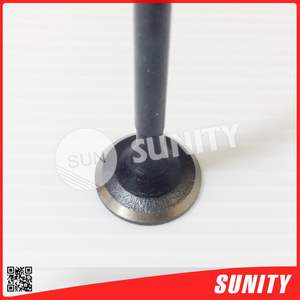 Pièces de moteur de moto vtt Offre Spéciale soupape d'admission anti-corrosion - Product Image 3