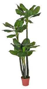 Tipos <span class=keywords><strong>de</strong></span> plantas ornamentales, <span class=keywords><strong>de</strong></span> plástico artificial decoración <span class=keywords><strong>de</strong></span> interior planta árboles - Product Image 3