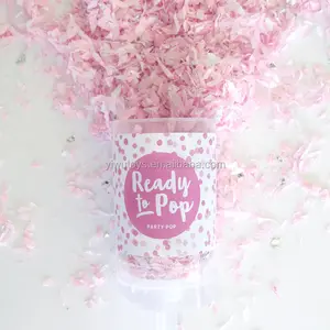 Customized Pink girl boy Gender Reveal Party push pop confetti