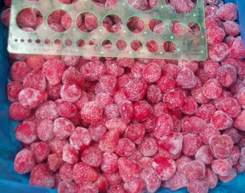 Vegetable product frozen food IQF strawberry in China