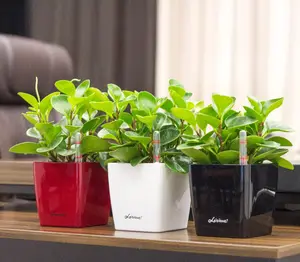 Leizisure Tropische Bonsai Plastic Bloem Potten Met Self-Watering Functie