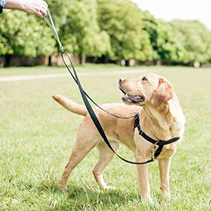 Freedom-arnés ajustable para perro, accesorio cómodo y sin tirones para mascotas - Product Image 5