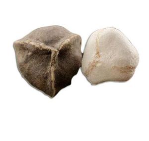 Graines <span class=keywords><strong>de</strong></span> <span class=keywords><strong>Moringa</strong></span> Oleifera <span class=keywords><strong>de</strong></span> grande taille, sans coquille, fruits pelés à vendre - Product Image 6