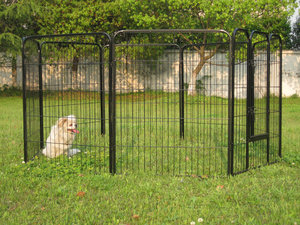 Valla de metal para perros, valla plegable para mascotas, valla extensible para perros - Product Image 5