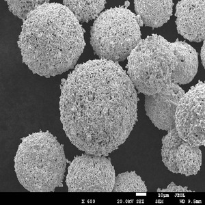 2019 polvo de aleación a base de níquel de alta calidad nuevo producto de investigación y desarrollo metales de calidación láser PTA productos de Metal de China - Product Image 4
