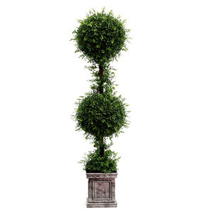 <span class=keywords><strong>L</strong></span>. <span class=keywords><strong>Albero</strong></span> a spirale sottile di ginepro verticale con vaso rotondo verde scuro - Product Image 6