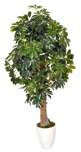 Árboles <span class=keywords><strong>bonsai</strong></span> <span class=keywords><strong>de</strong></span> interior <span class=keywords><strong>bonsai</strong></span> árbol <span class=keywords><strong>Schefflera</strong></span> artificial chino - Product Image 1
