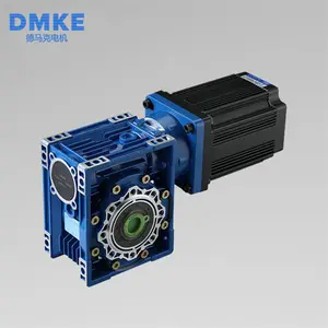 DMKE 310v 48v 2000 rpm 2000 watt fırçasız dc motor 48v sonsuz dişli redüktör