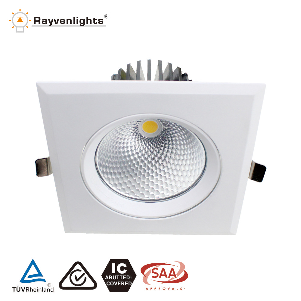 AR111 led grid light double head SAA/C-Tick 30w cob led gridlight in Epistar gimble 45 degree