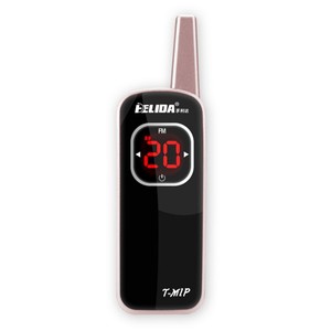 Talkie-walkie de <span class=keywords><strong>ski</strong></span> 500 mètres avec écouteur 400-470 MHz 95x30x16 mm 700 mAh CN;FUJ HELIDA 1-3 KM Max 25 canaux Argenté, Doré 35g - Product Image 1