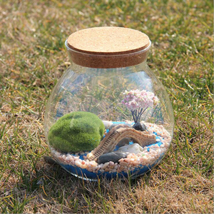 Round Glass <strong>Terrarium</strong> with Cork, Glass <strong>Terrarium</strong> <strong>Kit</strong> for Home Decoration - Product Image 1
