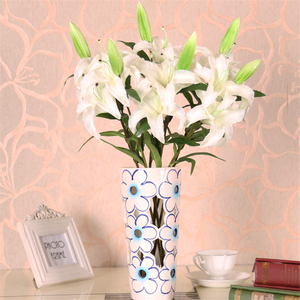 प्राकृतिक calla लिली बल्ब थोक लिली सफेद फूल थोक - Product Image 3