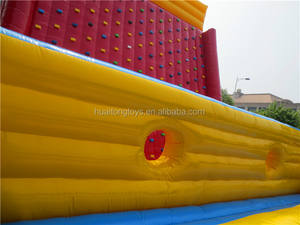 Pared <span class=keywords><strong>de</strong></span> <span class=keywords><strong>escalada</strong></span> en roca inflable <span class=keywords><strong>de</strong></span> PVC con juegos <span class=keywords><strong>de</strong></span> cuerdas fuertes para niños adultos a la venta - Product Image 6