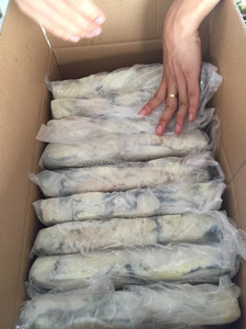 Bán Trứng Mực <span class=keywords><strong>Illex</strong></span> Đông Lạnh/Trứng Mực Đông Lạnh Chất Lượng Hàng Đầu - Product Image 4