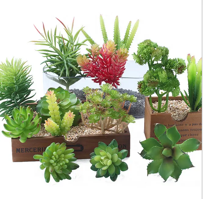 Großhandel Anordnung Faux Mini Kaktus künstliche kleine Sukkulenten tropische Pflanzen