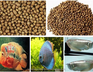 Machine d'extrudeuse d'aliments flottant poisson chat, extrudeuse de nourriture tilapia, <span class=keywords><strong>carpe</strong></span>, 60-100 kg/h, 11kw - Product Image 3