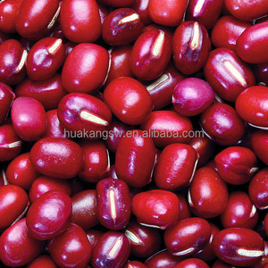 Frijol adzuki extracto, Vigna angularis extracto, frijol rojo extracto en polvo - Product Image 2