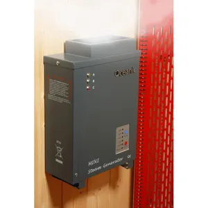 Oceanic Mini Elektrische Sauna Aroma Stoomgenerator 500 W 750 W 1KW kleine stoomgenerator voor koop
