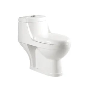 HS-8024 hcg water closet,wc water closet,dual flush water closet